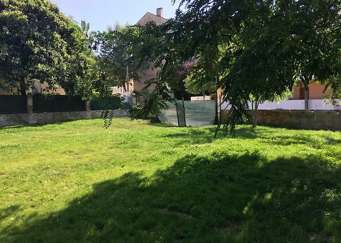 Garden *